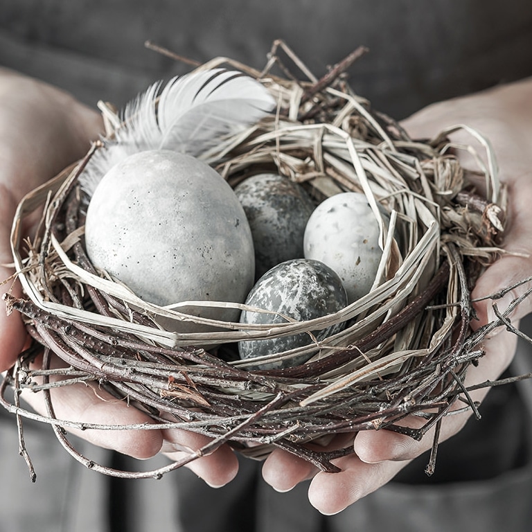 Eine Person hält ein rustikales Nest mit drei gesprenkelten Eiern, die Fürsorge, Natur und den Beginn neuen Lebens symbolisieren.