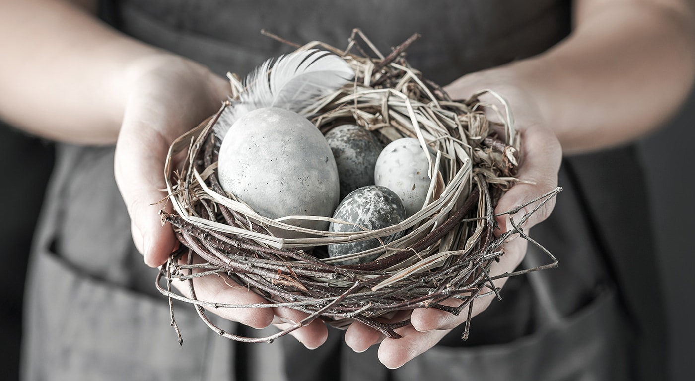 Eine Person hält ein rustikales Nest mit drei gesprenkelten Eiern, die Fürsorge, Natur und den Beginn neuen Lebens symbolisieren.